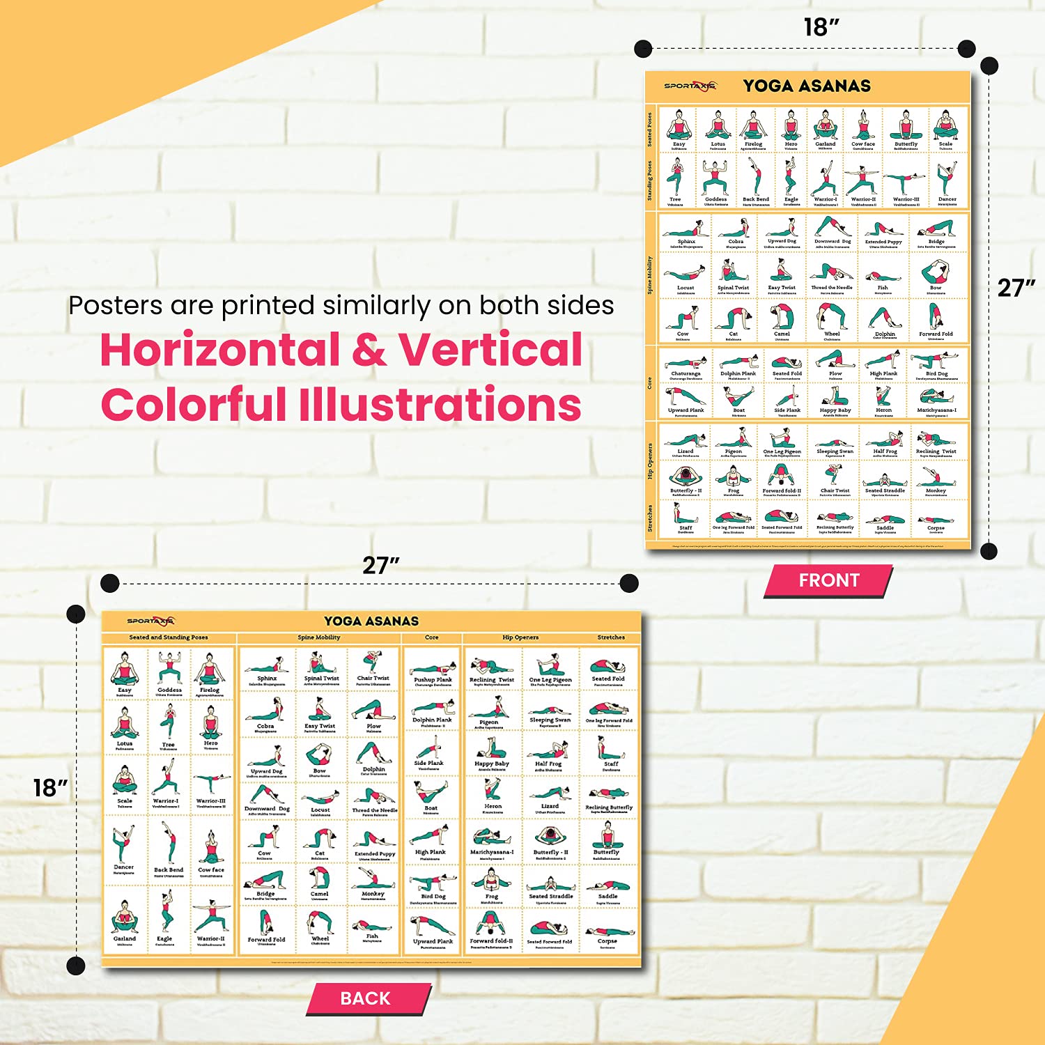 SPORTAXIS Yoga Poster - 64 Asanas for Home Workout & Fitness