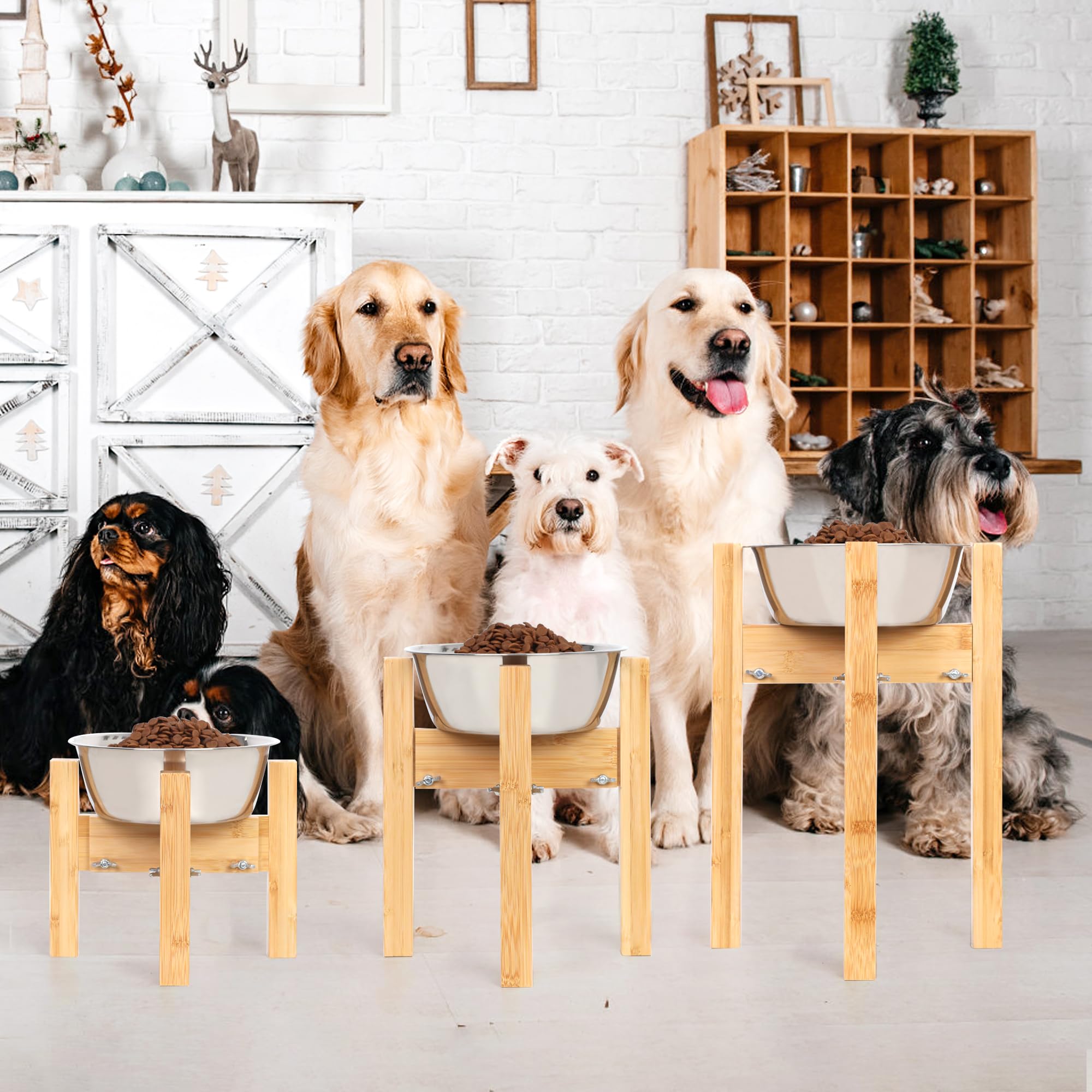 Adjustable Elevated Dog Bowl Stand for Medium Dogs - 10