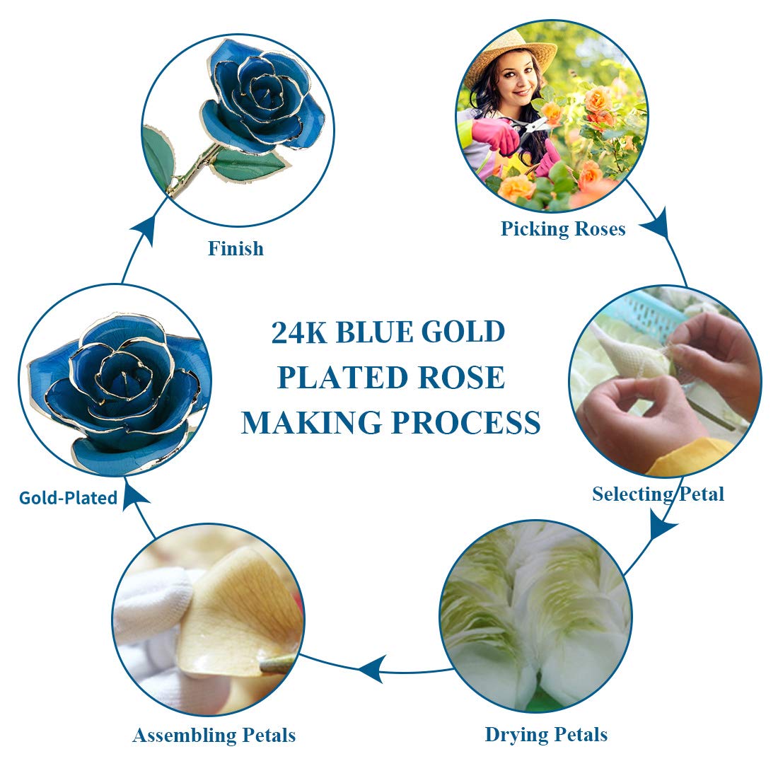 24K Gold Plated Blue Rose - Eternal Love Real Rose Flower Gift for Her, Perfect Anniversary, Wedding, Birthday & Graduation Present (Blue) - Romantic Home Decor, Proposal Gift, Valentine's Day Surprise