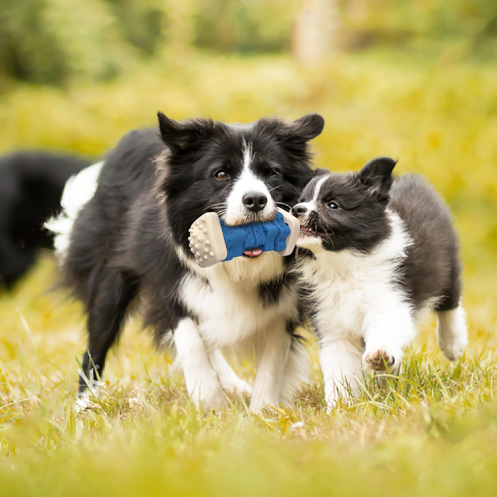 Durable Indestructible Dog Chew Toys for Aggressive Chewers - Beef Flavor Interactive Puzzle Toys, Safe Rubber Chewers for Large Medium Small Dogs (Blue) - Perfect for Training, Boredom Relief & Playtime