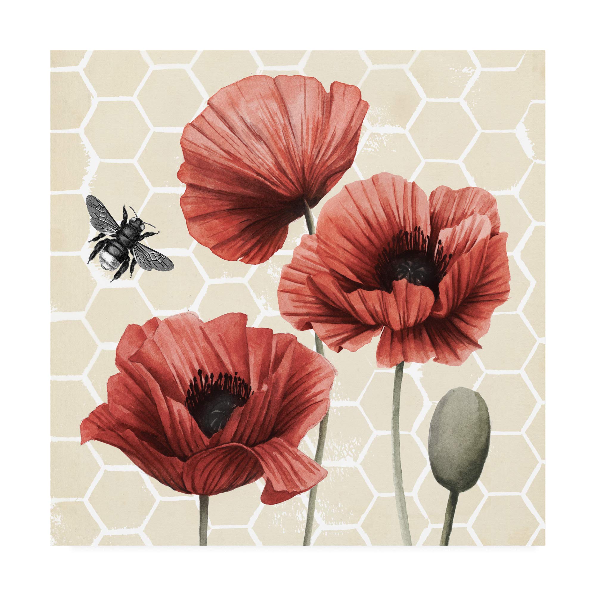 Grace Popp Poppy Buzz I - 18x18 Floral Wall Art Canvas Print - Modern Home Decor for Living Room, Bedroom & Office