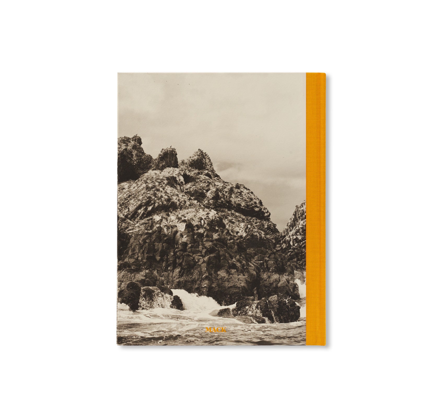 NOTHING'S IN VAIN by Emmanuelle Andrianjafy - Contemporary Art Photography Book - Perfect for Art Collectors & Photography Enthusiasts