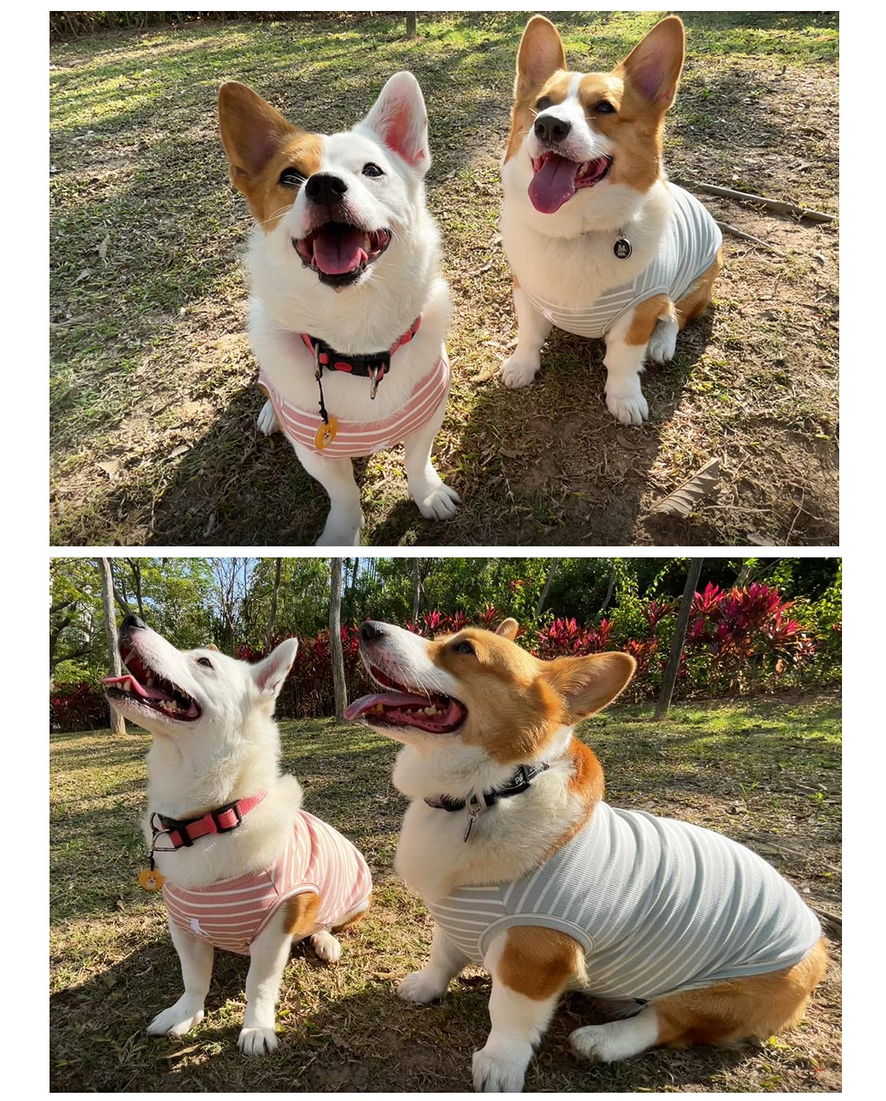 Koneseve Dog Shirt Vest - 2 Pack Lightweight Stretchy Dog T-Shirts for Small Dogs (Pink + Green) - Soft Sleeveless Breathable Summer Clothes for Puppies & Cats - Perfect for Outdoor Walks, Pet Parties & Home Comfort [Size S/Small]