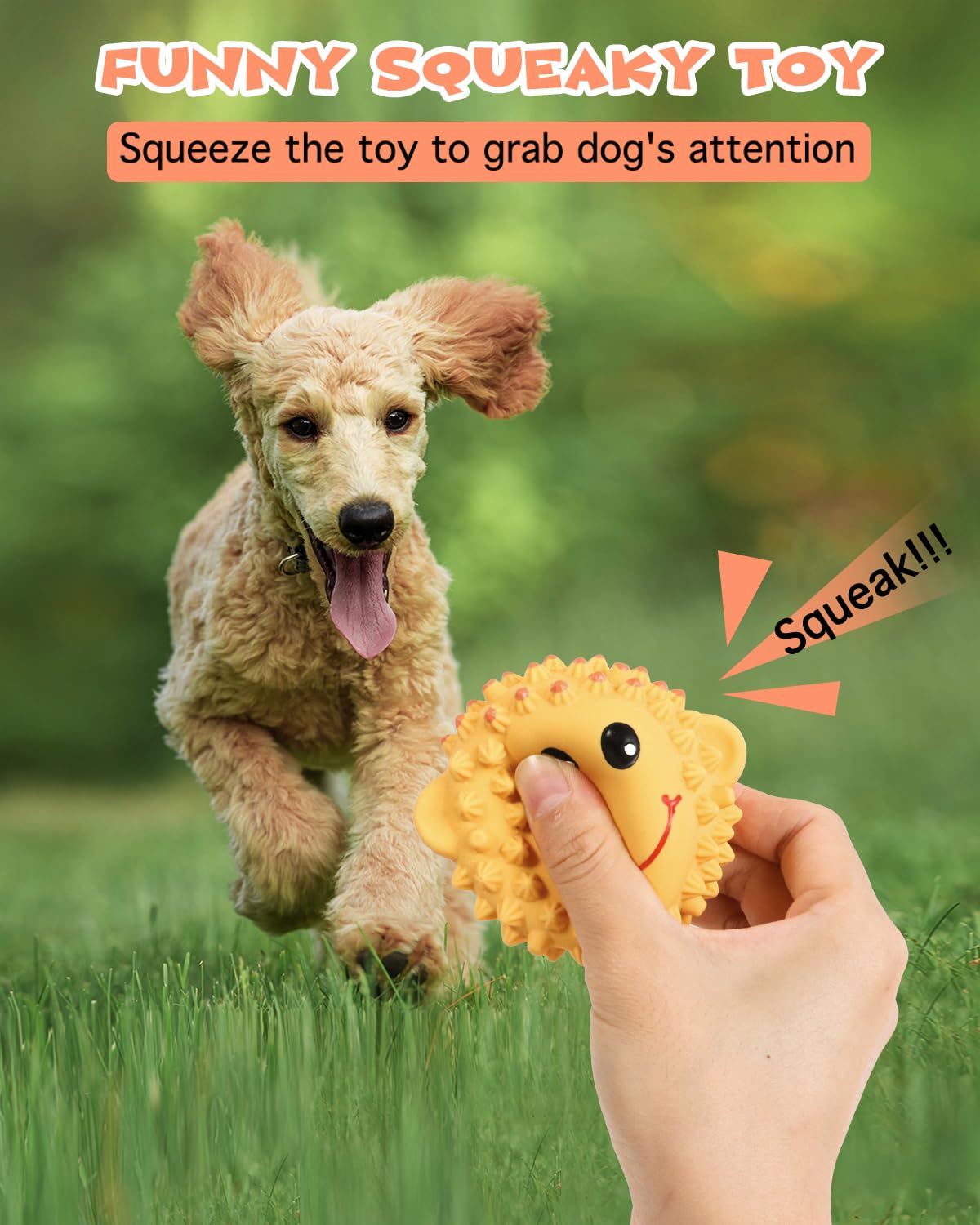 SCHITEC Squeaky Dog Toys - 2 Pack Spiky Rubber Balls for Small Dogs | Interactive Fetch Play & Teeth Cleaning
