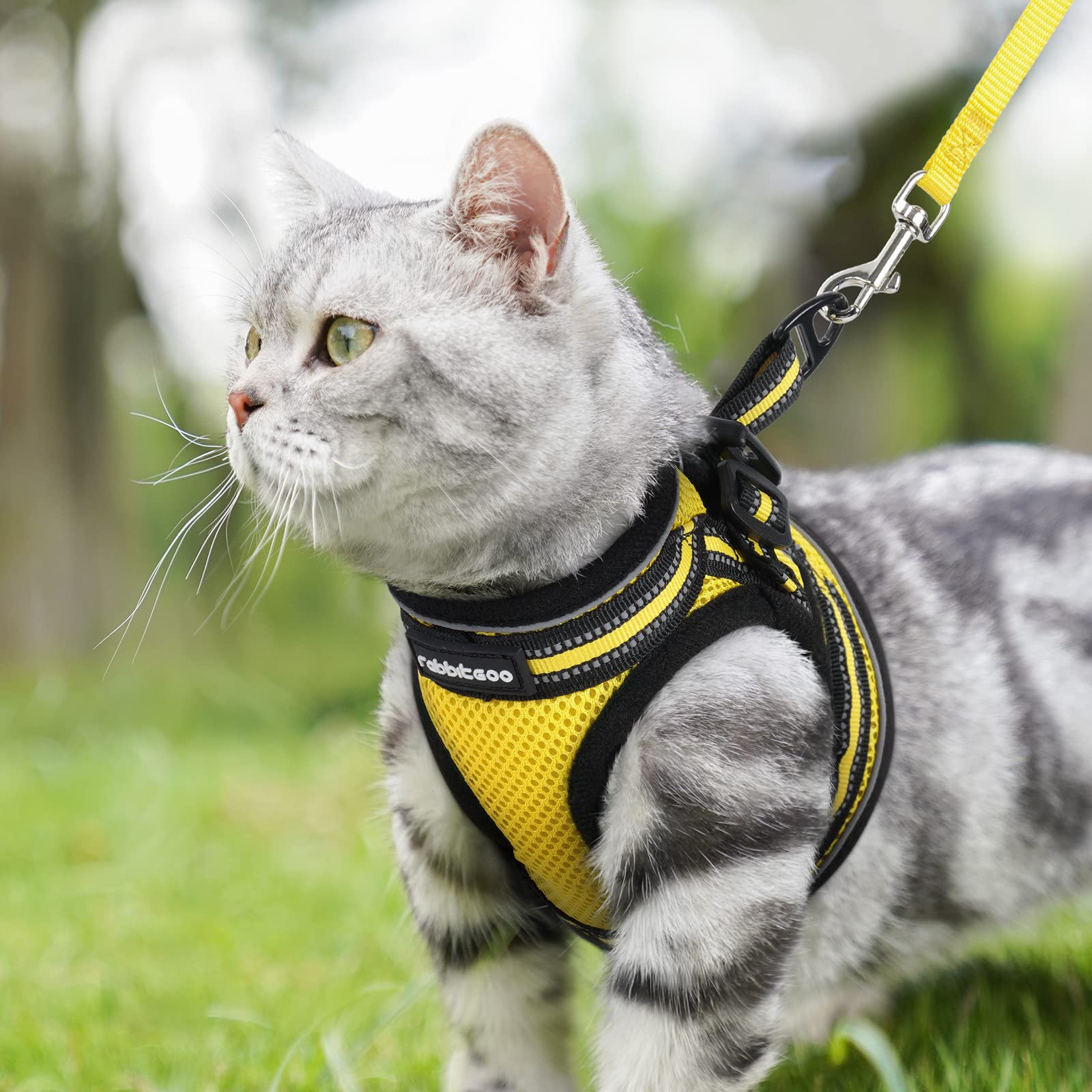Rabbitgoo Escape Proof Cat Harness and Leash Set - Adjustable Soft Reflective Kitten Vest for Safe Outdoor Walking - Comfortable Pet Safety Harness for Small Cats (Bright Yellow) - Perfect for Park Adventures, Vet Visits, and Travel