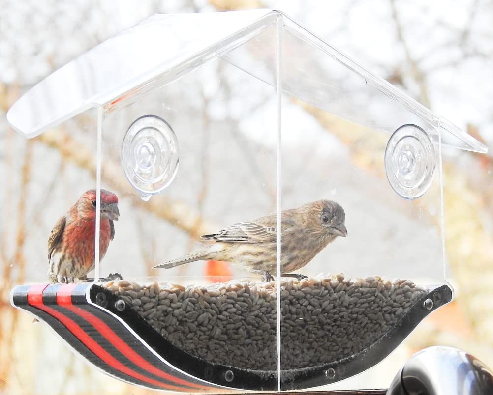 JC's Wildlife Swoop Recycled Poly Lumber Window Bird Feeder - 2 Cups Capacity, Durable Eco-Friendly Red Bird Feeder for Cardinals, Finches & Wild Birds - Perfect for Home, Garden & Backyard Bird Watching