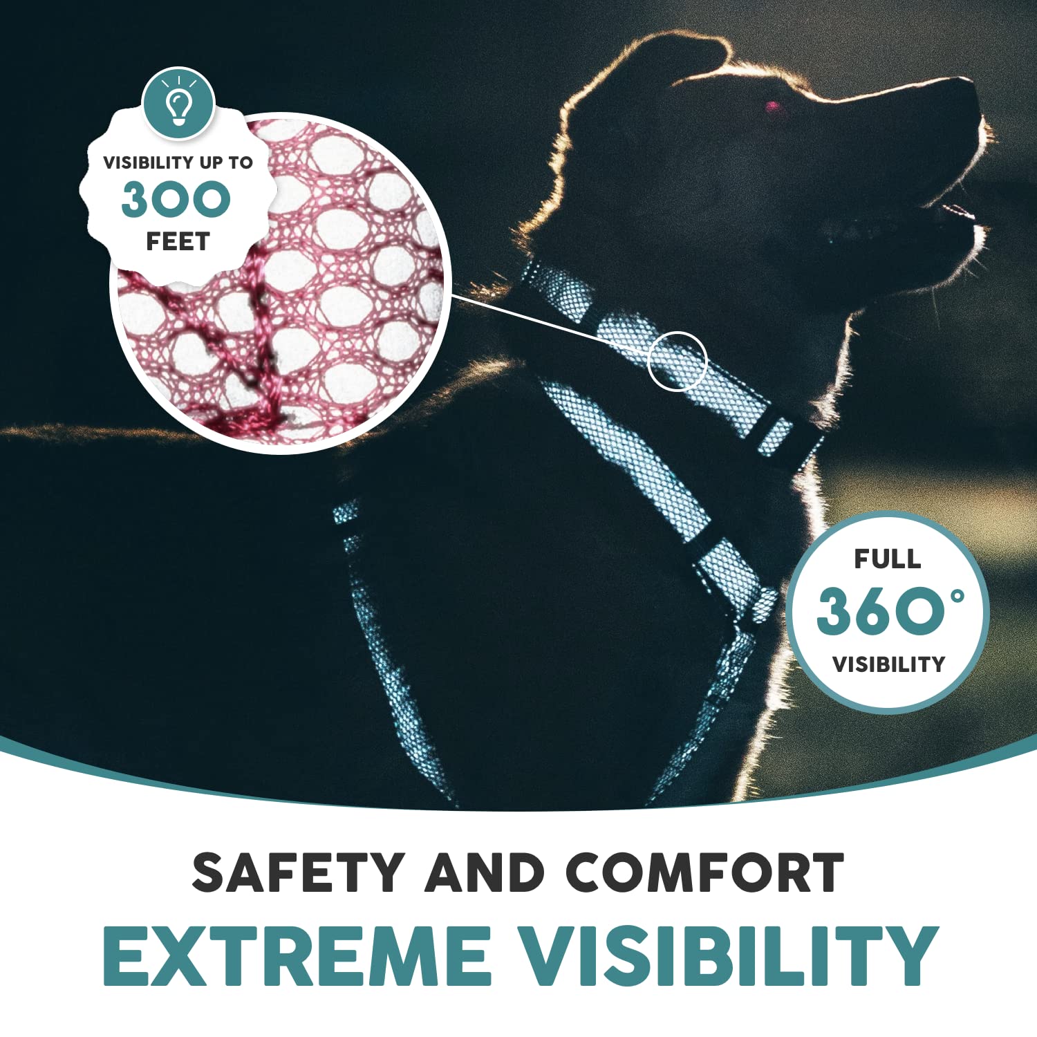 **Embark Illuminate Reflective Dog Collar for Small Dogs – Adjustable Padded Nylon Collar with Buckle, High-Visibility Night Safety – Perfect for Evening Walks, Jogging & Outdoor Adventures (Pink)**