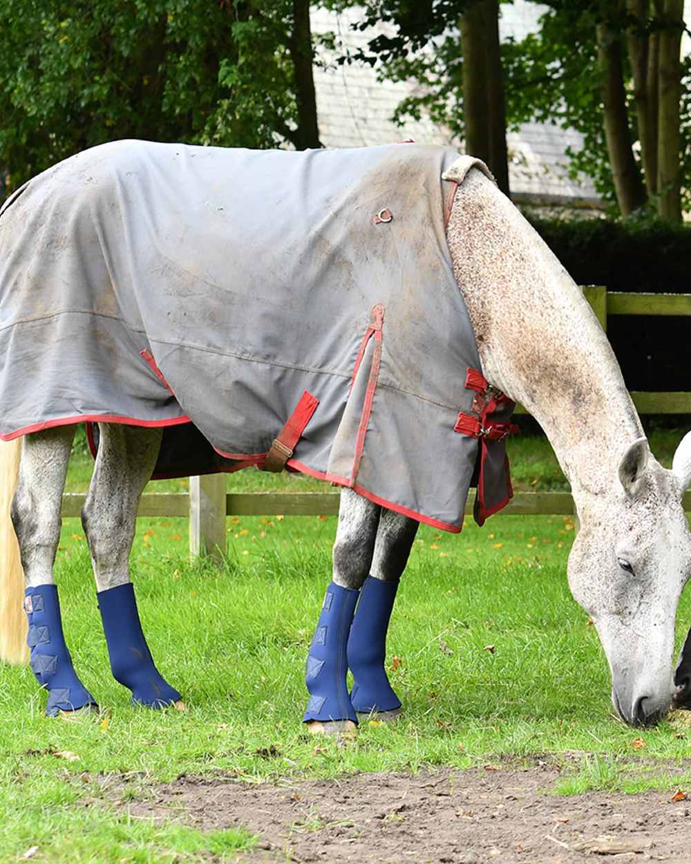 Equilibrium Equi Chaps - Durable Horse Riding Chaps for Equestrians - Perfect for Training, Shows & Outdoor Riding