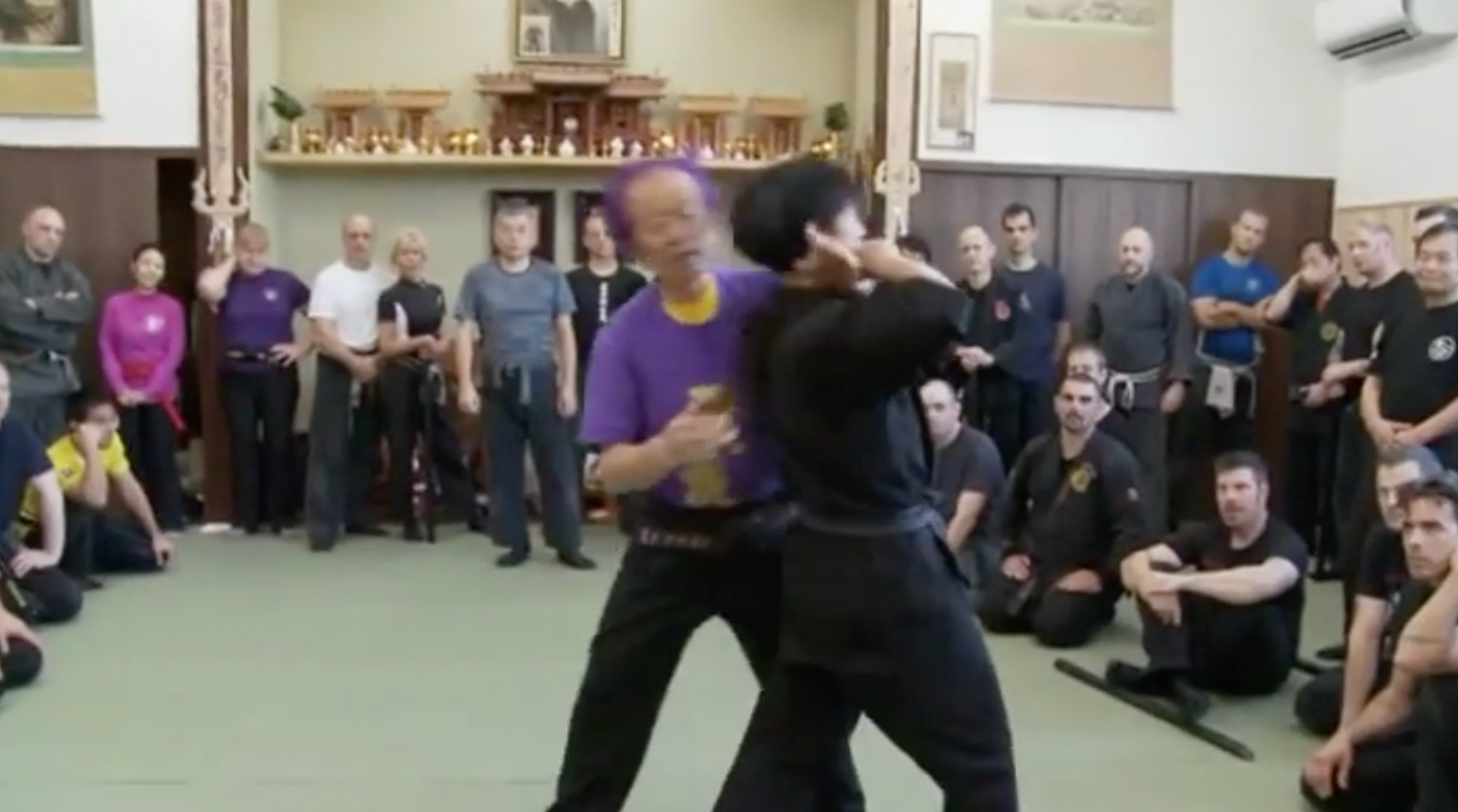 Arnaud Cousergue 15th Dan Bujinkan Interview DVD - Learn Advanced Ninjutsu Techniques from a Grandmaster - Perfect for Martial Arts Training & Historical Study