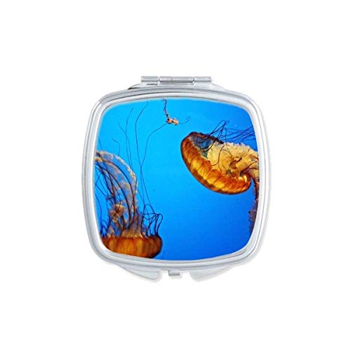 DIYthinker Ocean Jellyfish Science Nature Double-Sided Pocket Mirror - Portable Compact Makeup Mirror for Travel, Purse & Vanity Use