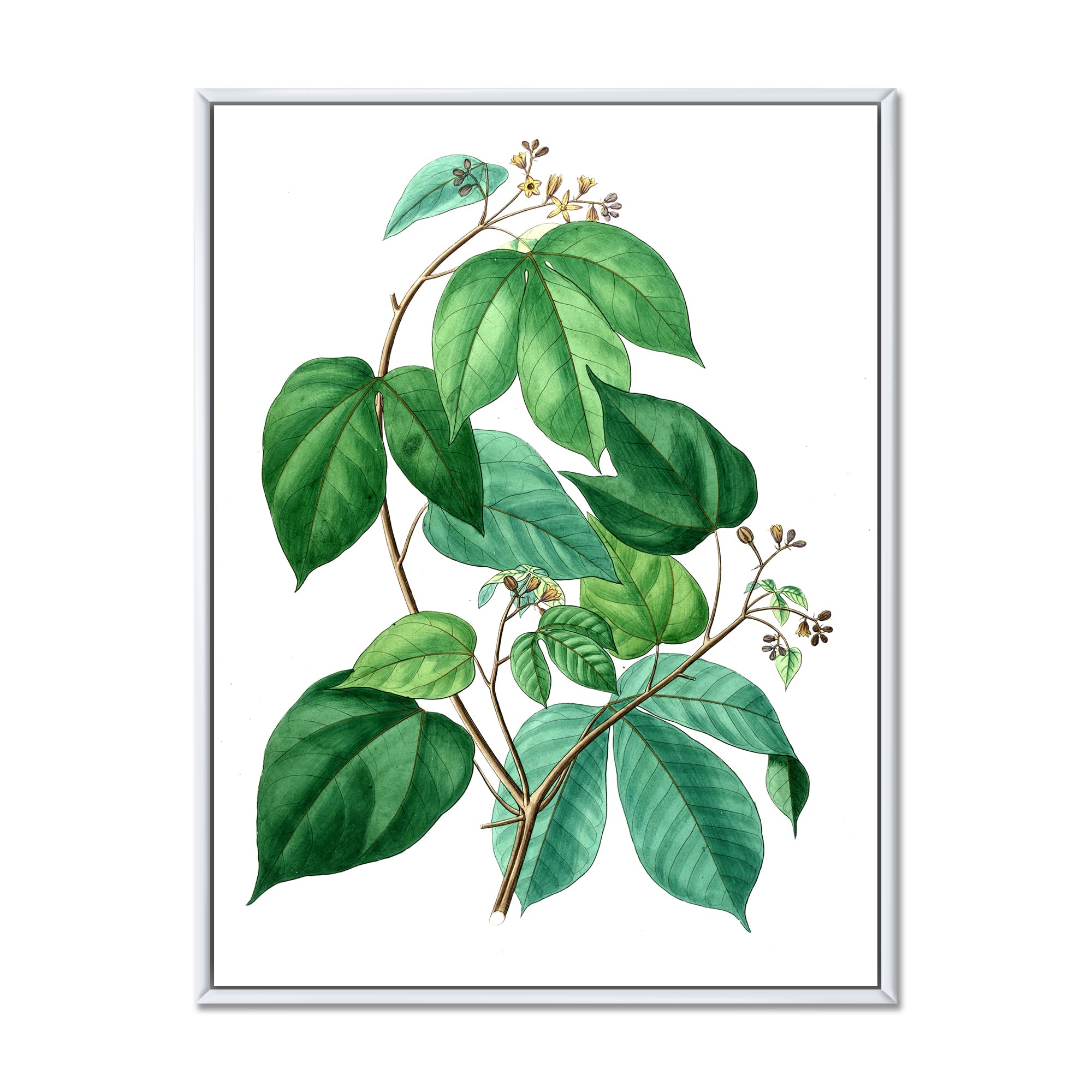 Vintage Green Leaves Plants III - Traditional Framed Canvas Wall Art Print for Living Room, Bedroom & Office Decor | Nature Inspired Home Wall Decor | Ready to Hang