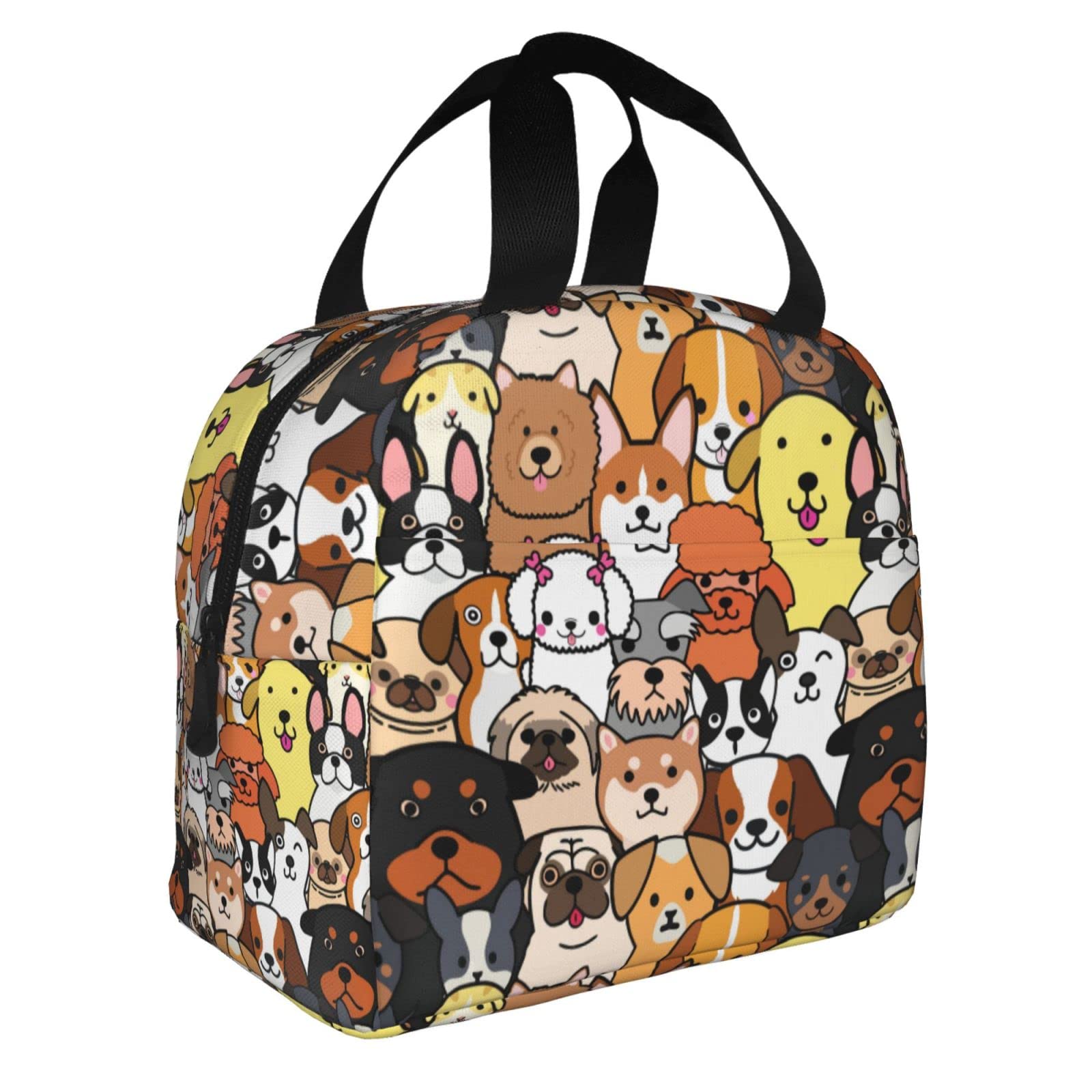 Insulated Reusable Lunch Box for Dogs - Leak Proof & Eco-Friendly Lunch Bag for Kids, Teens, Women - Perfect for School, Travel, Picnic & Beach Outings