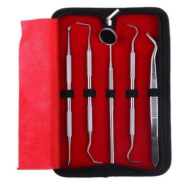 Professional Dental Tools Kit - Stainless Steel Teeth Cleaning Set with Mirror & Picks for Dentists & Home Oral Hygiene Care | Perfect for Dental Clinics, Travel & Personal Oral Care