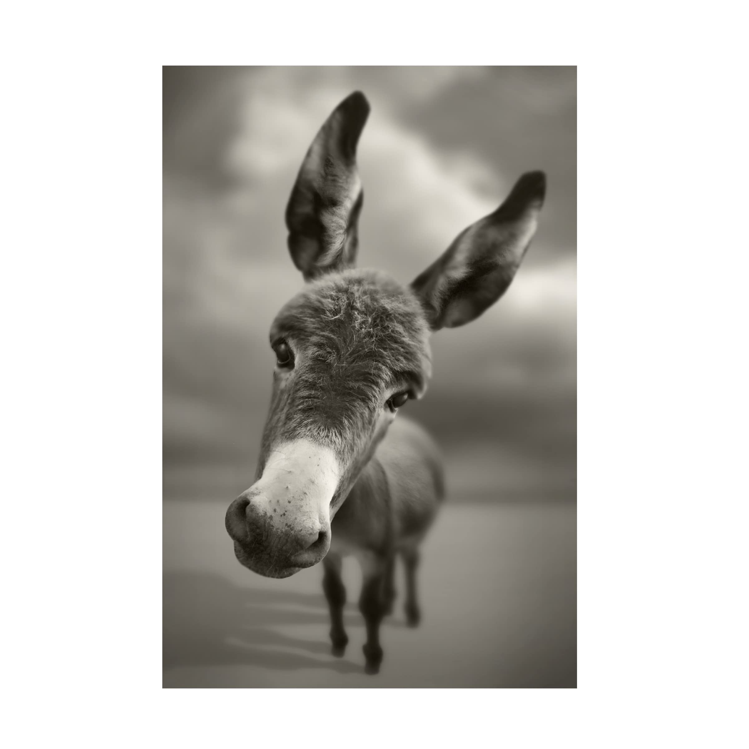 Ben Heine 'Hey There' Canvas Wall Art - Modern Abstract Painting for Living Room, Bedroom & Office Decor