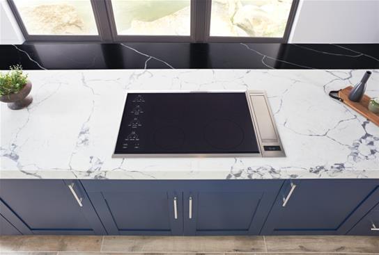 DC54MSB 21-Inch Stainless Steel Built-In Downdraft Range Hood - 300 to 650 CFM Kitchen Ventilation System for Gas & Electric Stoves - Perfect for Modern Open-Concept Kitchens