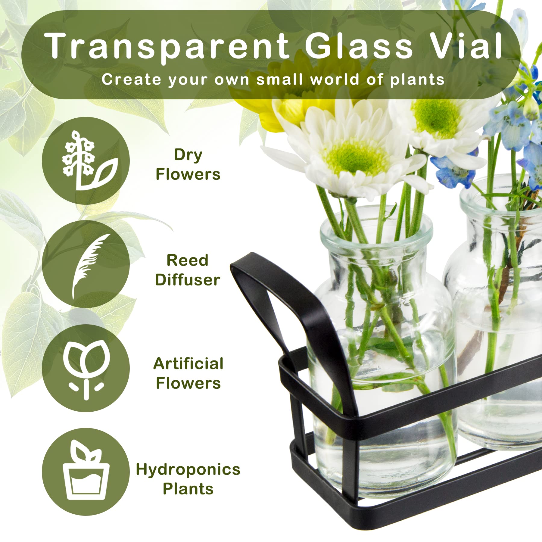 Jkwokback Propagation Station - Glass Terrarium Planter with Stand for Air Plants, House Plants & Hydroponics | Indoor Home, Office & Garden Decor for Plant Lovers | Perfect for Windowsills, Desks & Shelf Displays