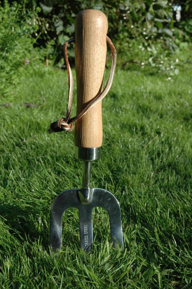 Esschert Design GT10 Hand Fork - Stainless Steel Garden Hand Fork for Weeding, Planting & Digging - Perfect for Small Gardens, Flower Beds & Potting Plants