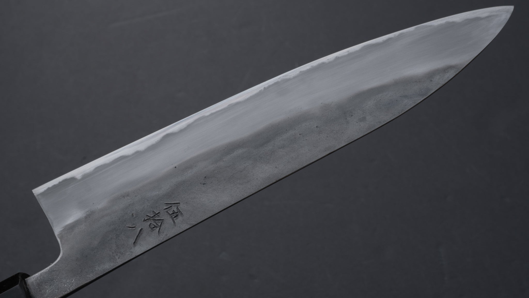 Premium Jiro Tsuchime Wa Gyuto 240mm Japanese Chef Knife with Taihei Tagayasan Handle (#058) - Perfect for Professional Chefs & Home Cooking Enthusiasts