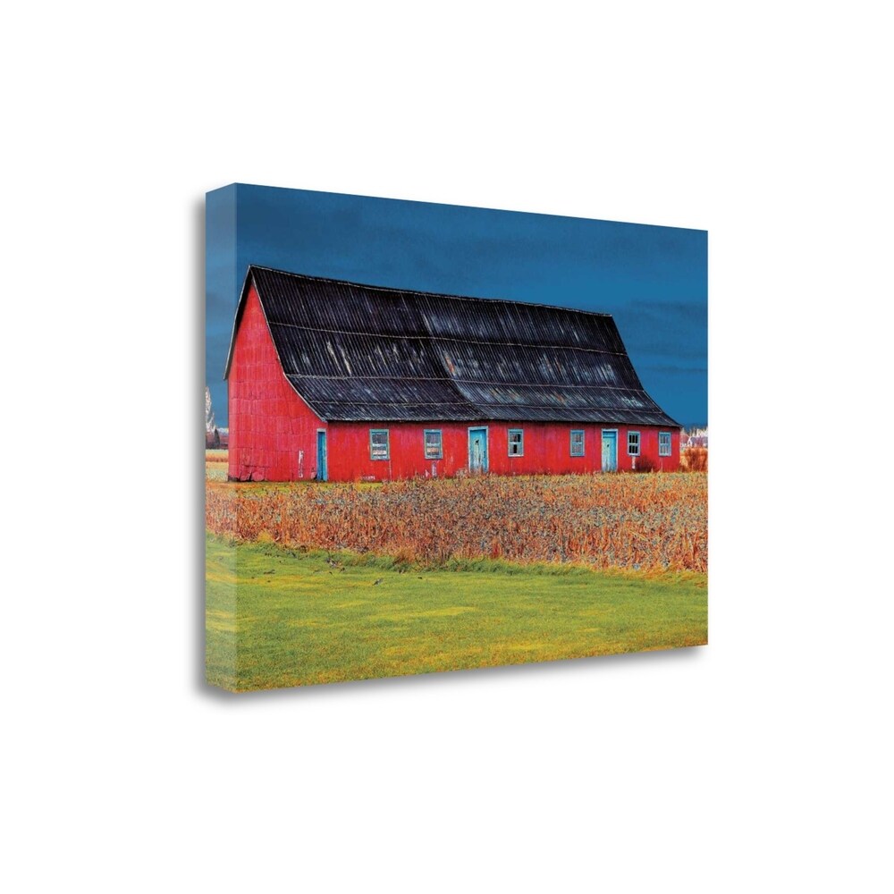 Big Red by Burney Lieberman - Premium Fine Art Giclee Print on Gallery Wrapped Canvas, Ready to Hang Wall Decor for Living Room, Bedroom & Office