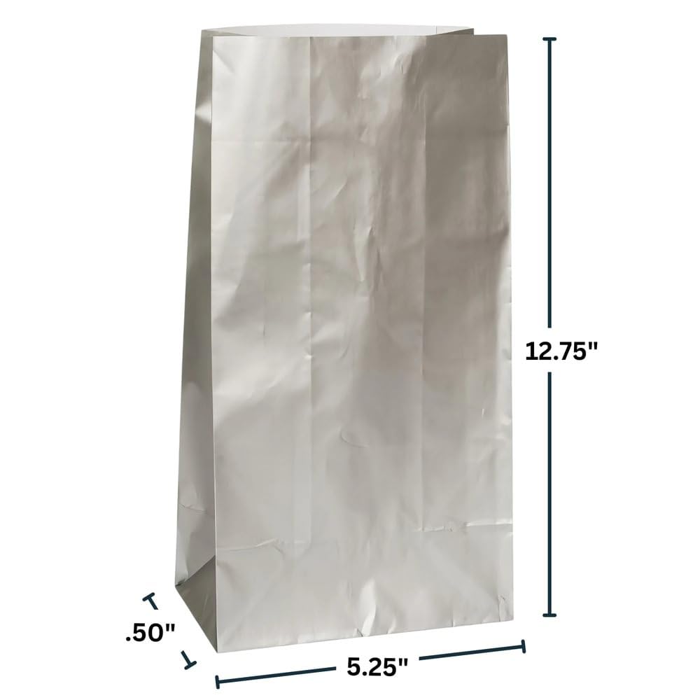 10 Pack Sparkling Silver Metallic Gift Bags | Premium Eco-Friendly Party Favor Bags for Birthdays, Weddings & Special Events | Shimmery Celebration Decorations
