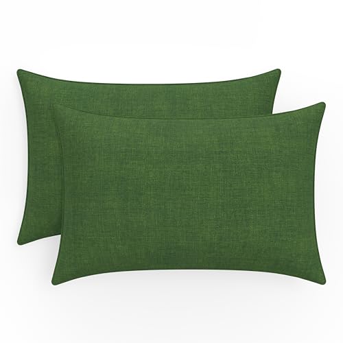 Green Splash Evergreen