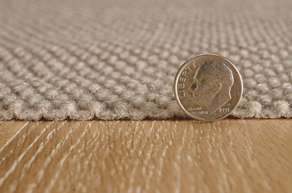 KOECKRITZ Soft Indoor Outdoor Hobnail Style Area Rug - Lightweight Flexible Non-Slip Carpet for Living Room Bedroom Patio - Easy to Clean & Portable - 4x6 Feet Taupe Home Decor Floor Mat