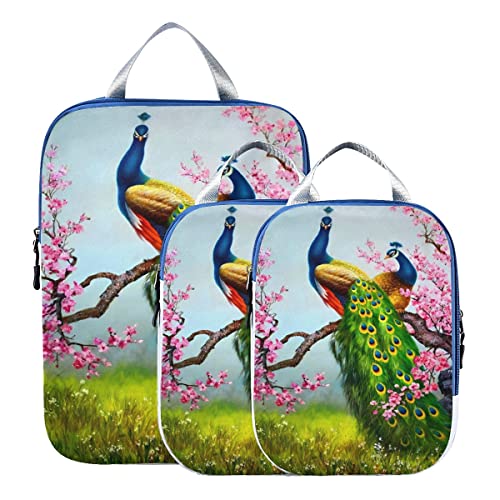 Peacock 77