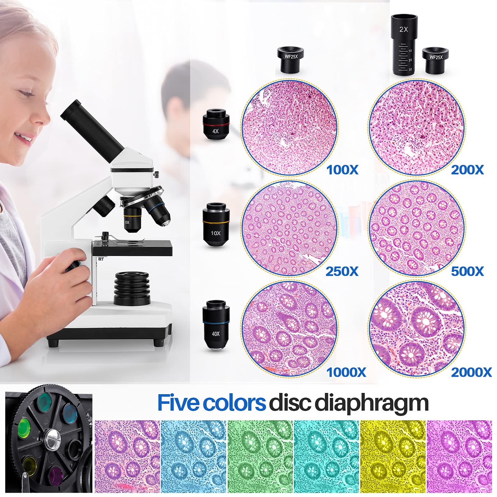 BEBANG 100X-2000X Compound Microscope for Adults & Kids - Professional Microscope Kit with Slides for Students, Home School & Science Lab - Perfect for Biology Experiments, Classroom Learning & STEM Education