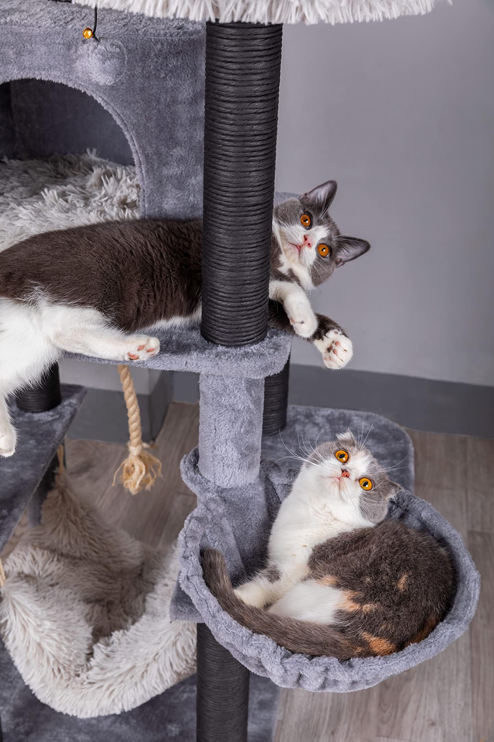 Catry Babylon Cat Tree - Multi-Level Cat Tower with Hammock, Scratching Post & Toys - Easy Assembly Sturdy Cat Furniture for Indoor Cats (Grey) - Perfect for Play, Rest & Scratching in Living Rooms & Bedrooms