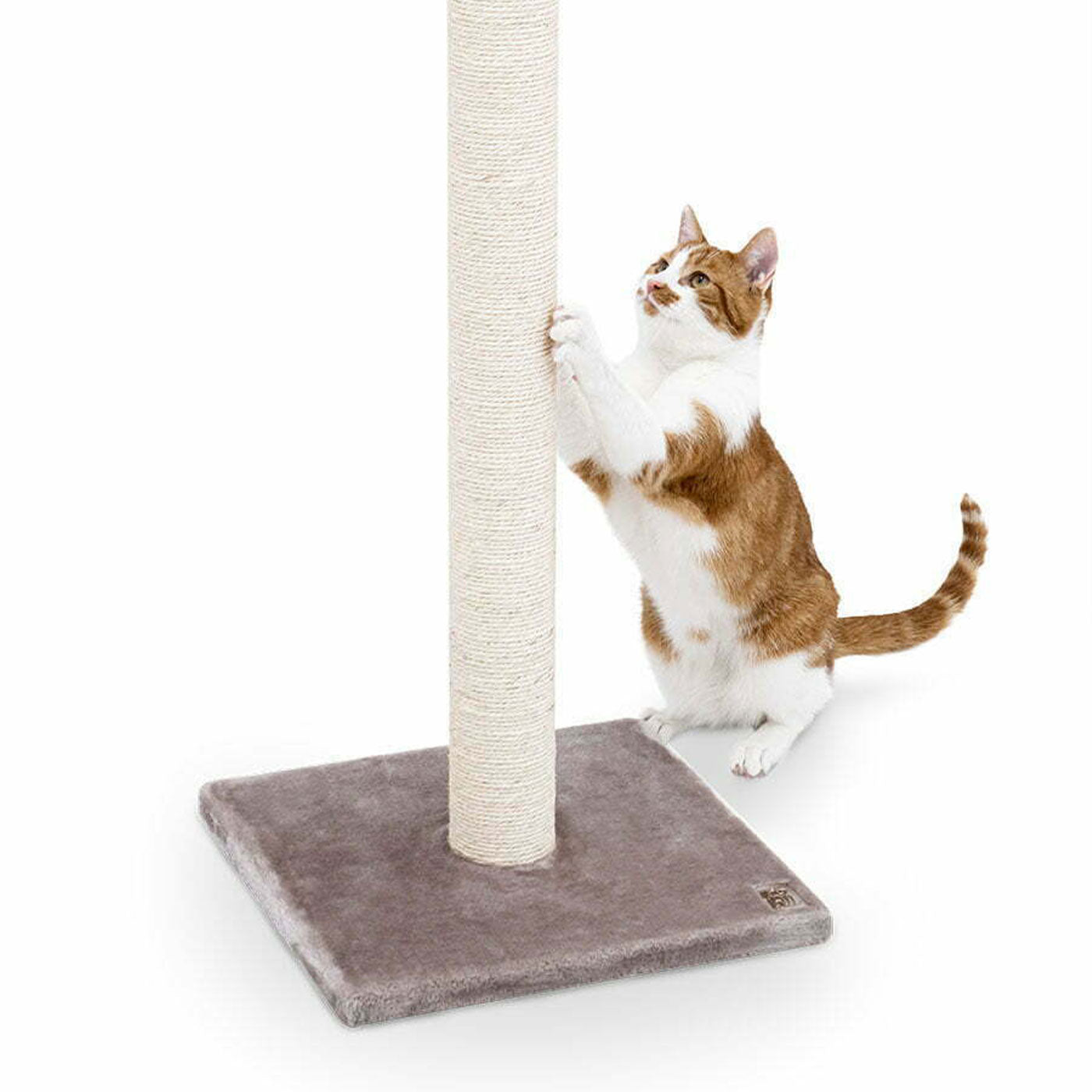 Little Rebels Maine 90cm Cat Tree with Scratching Posts - Multi-Level Cat Condo for Indoor Cats - Perfect for Play, Rest & Climbing - Durable & Stylish Cat Furniture for Home or Office