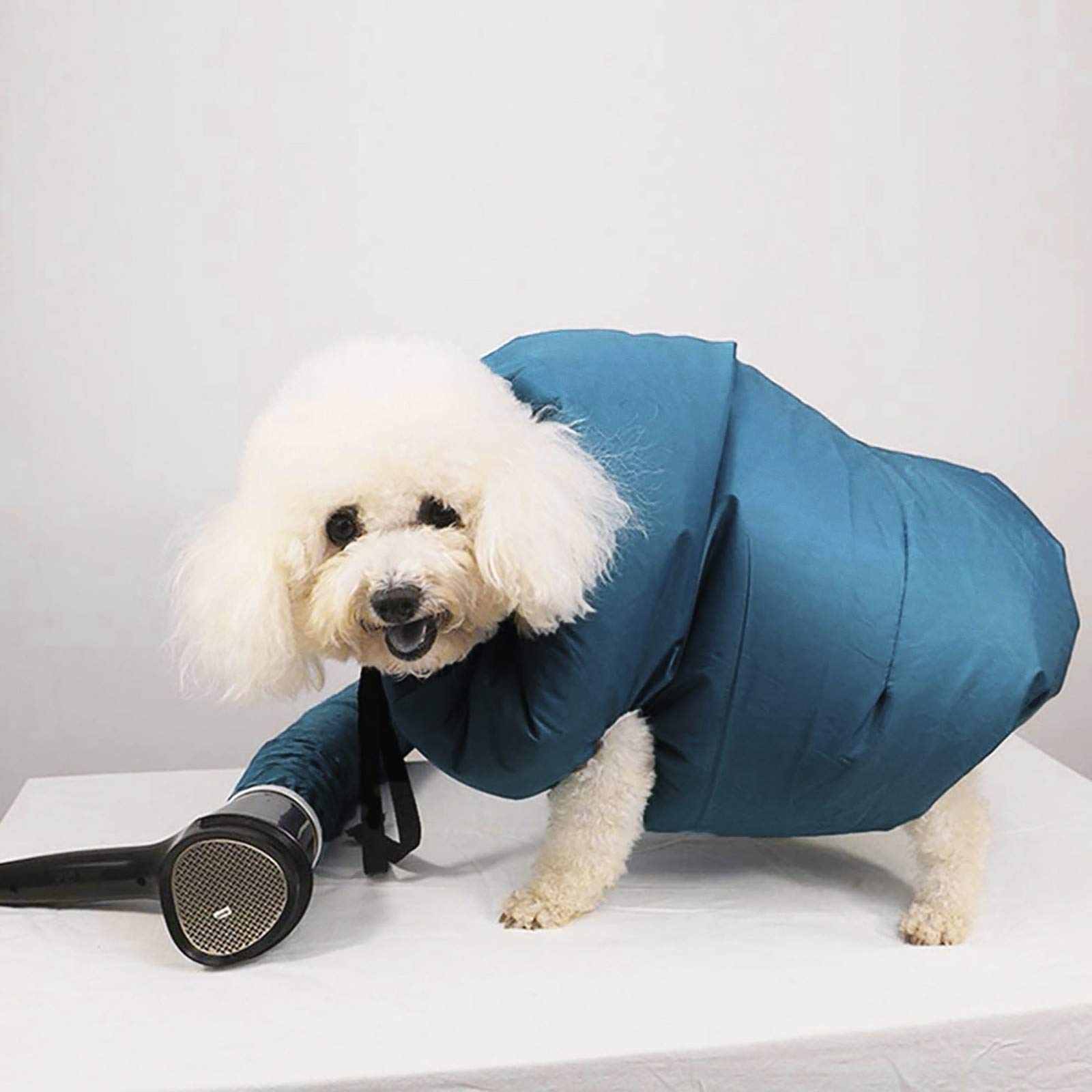 Portable Low Noise Pet Hair Dryer - Fast & Easy Blower for Dogs & Cats - Grooming & Bathing Supplies for Pets at Home or Salon