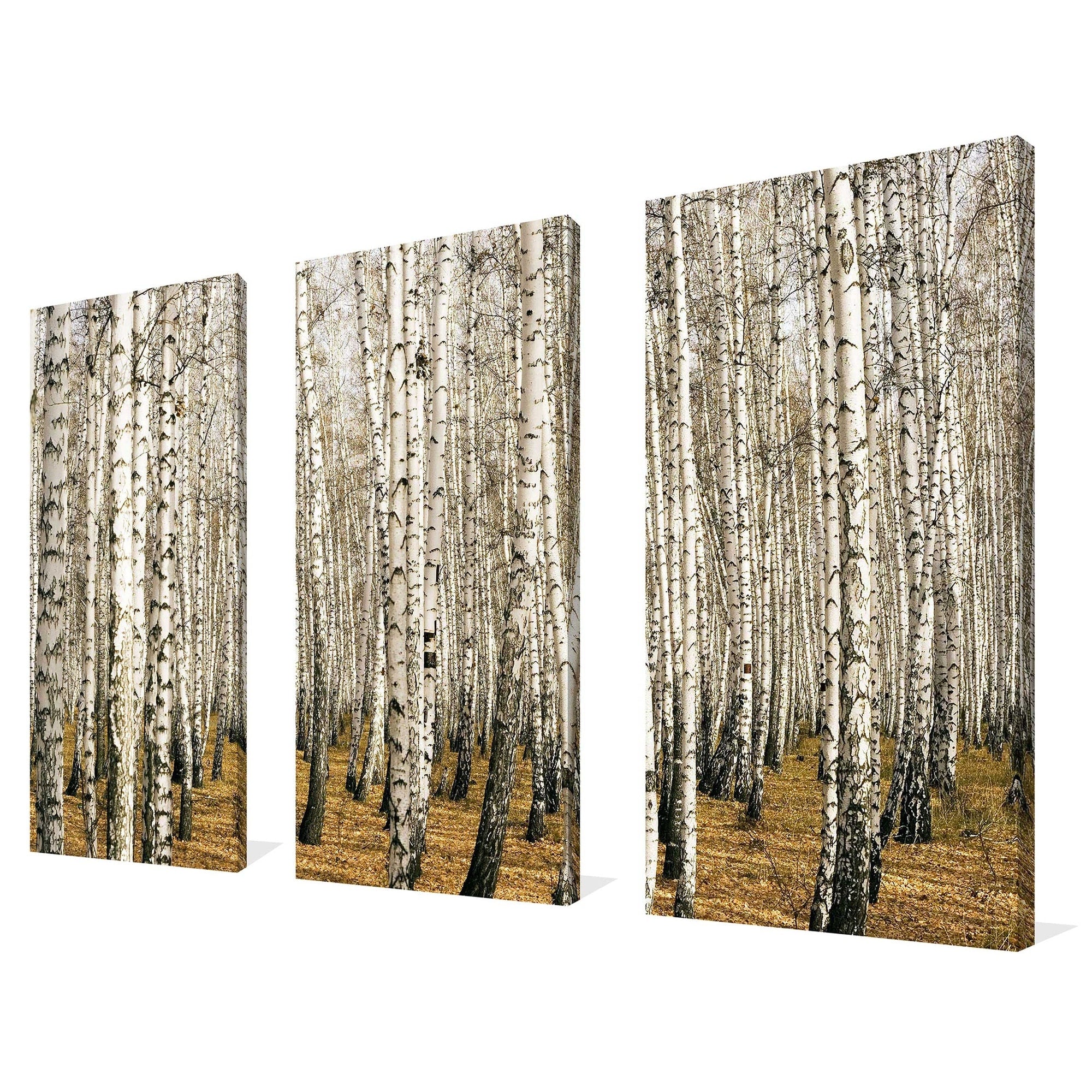 Birch Trees 3-Piece Canvas Wall Art Set - Modern Nature Landscape Paintings for Living Room, Bedroom & Office Decor