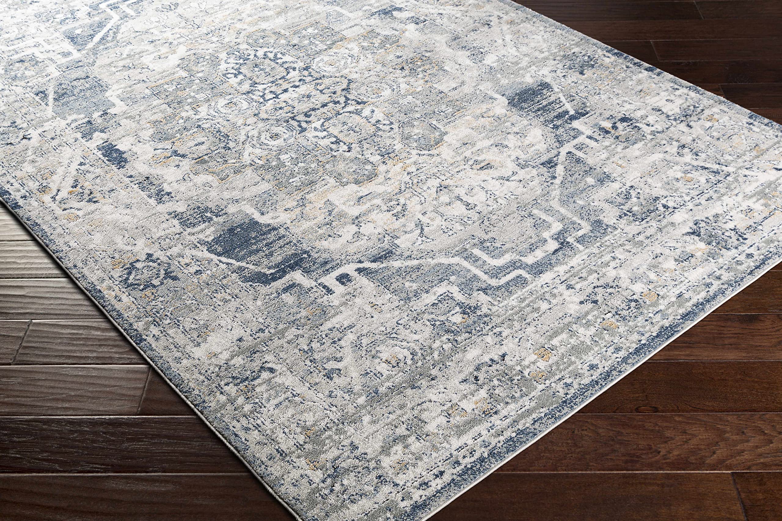 Hauteloom Tansley Traditional Area Rug 9' x 12' - Soft Gray Blue Black Living Room Bedroom Rug - Perfect for Home Decor, Cozy Spaces & Modern Interiors