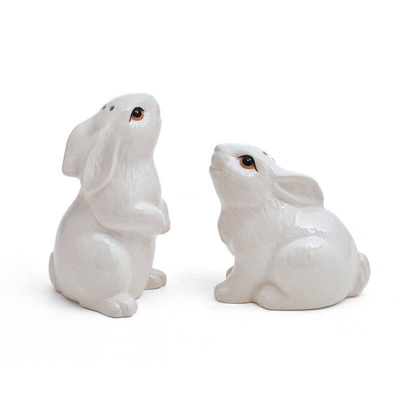 Fitz & Floyd Meadow Salt and Pepper Shaker Set - Brown Ceramic Spice Dispenser for Kitchen & Dining Table Decor