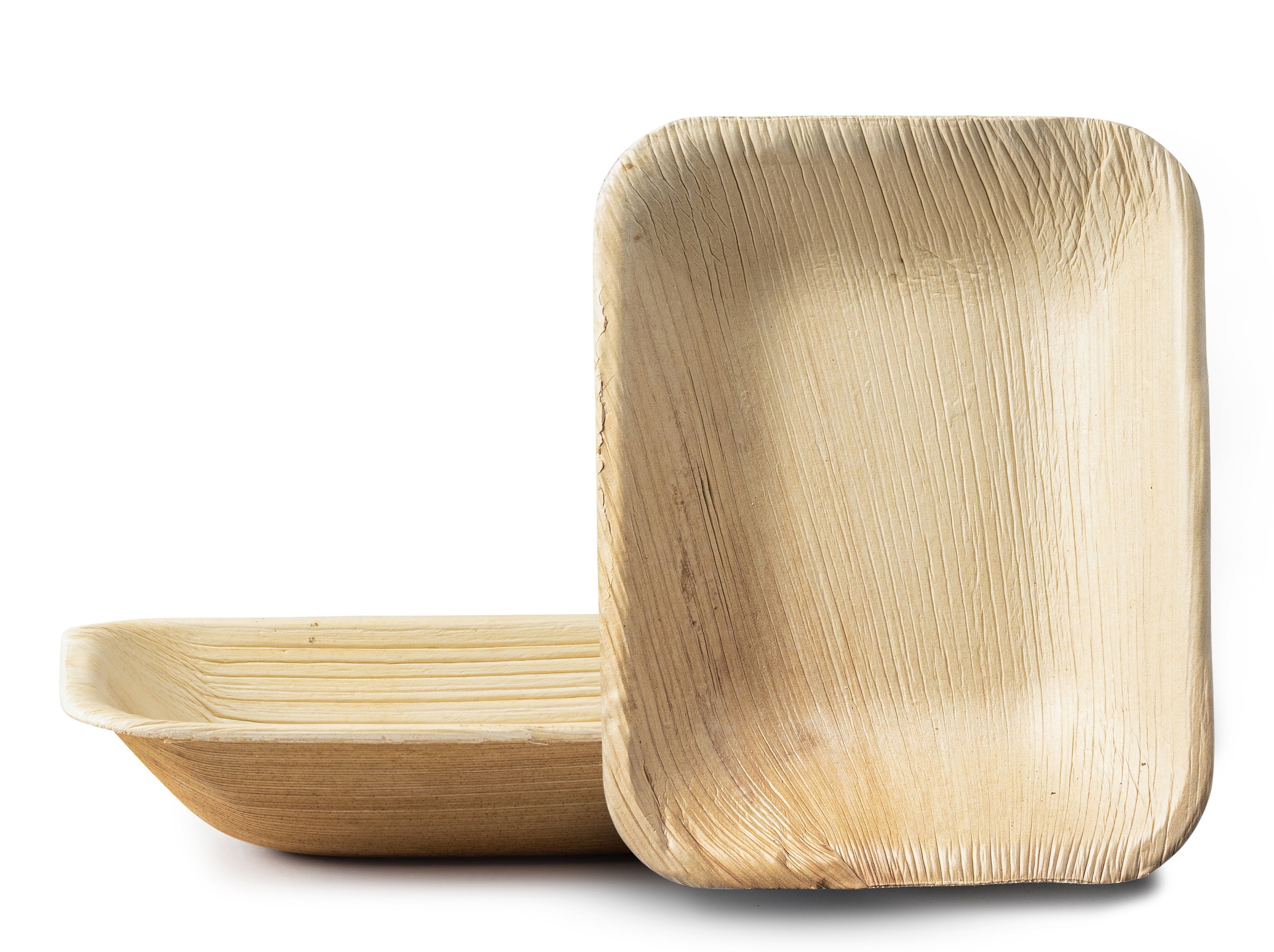 Eco-Friendly 100% Natural Disposable Palm Leaf Plates - 10 Pack Biodegradable Compostable Rectangle Dinnerware for Parties, Picnics & Outdoor Events
