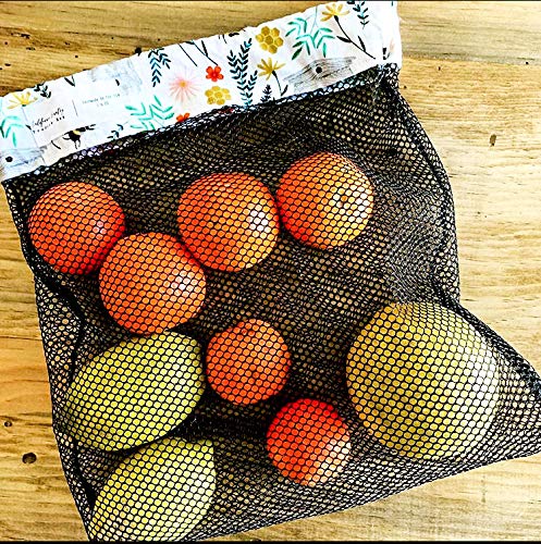 Bee Starter Kit for Beginners - Complete Beekeeping Supplies & Tools for Hobbyists | Perfect for Backyard Beekeeping & Honey Production