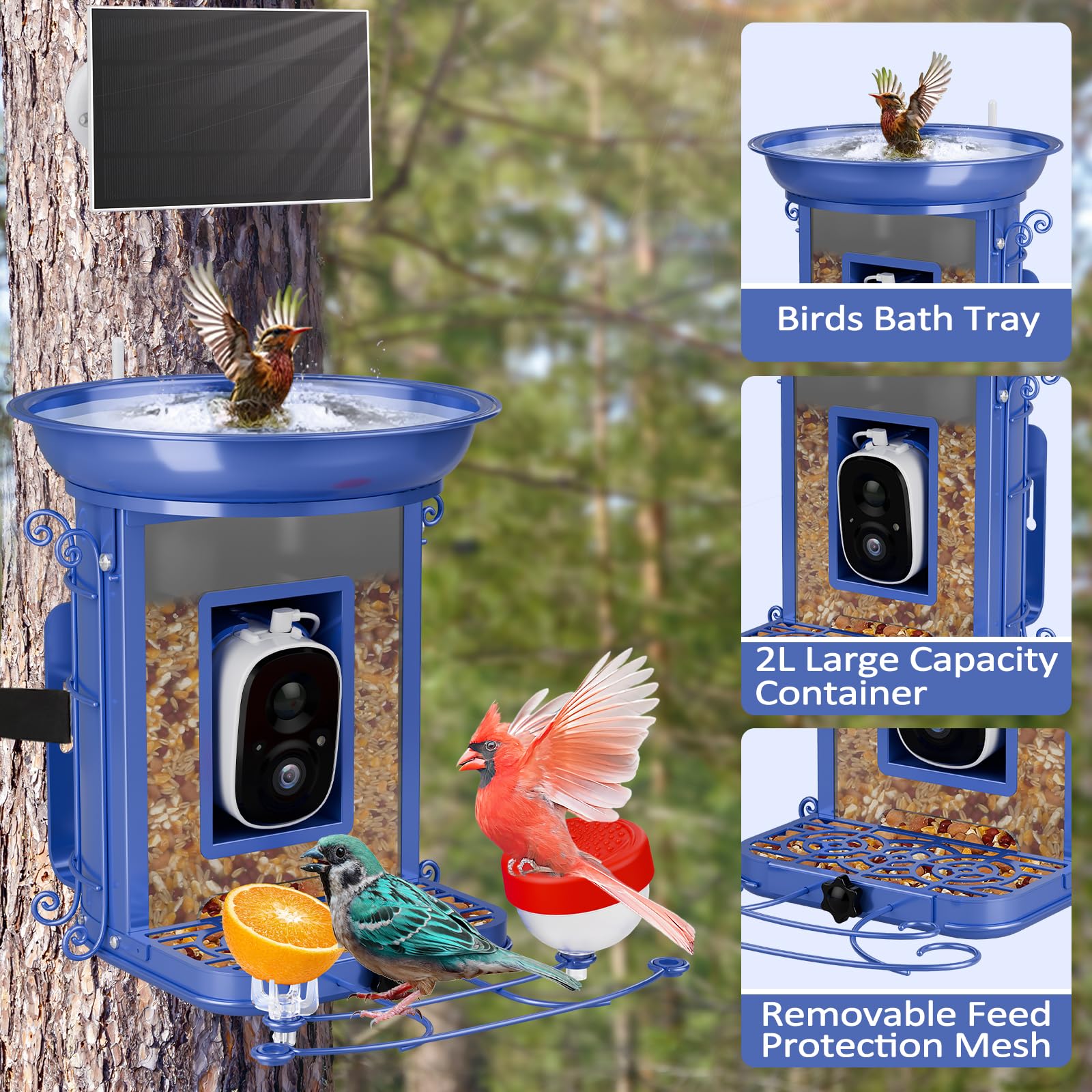 Smart Bird Feeder with Camera - 2K HD Wildlife Bird Feeder with AI Recognition for 11,000+ Species | Live Video Streaming & Motion Detection | Perfect Outdoor Bird Watching Gift for Nature Lovers (Backyard, Garden, Patio Use)