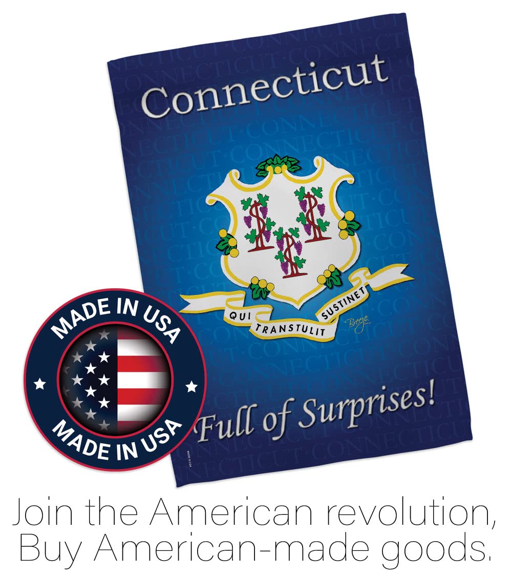 Connecticut Americana House Flag Set 28x40
