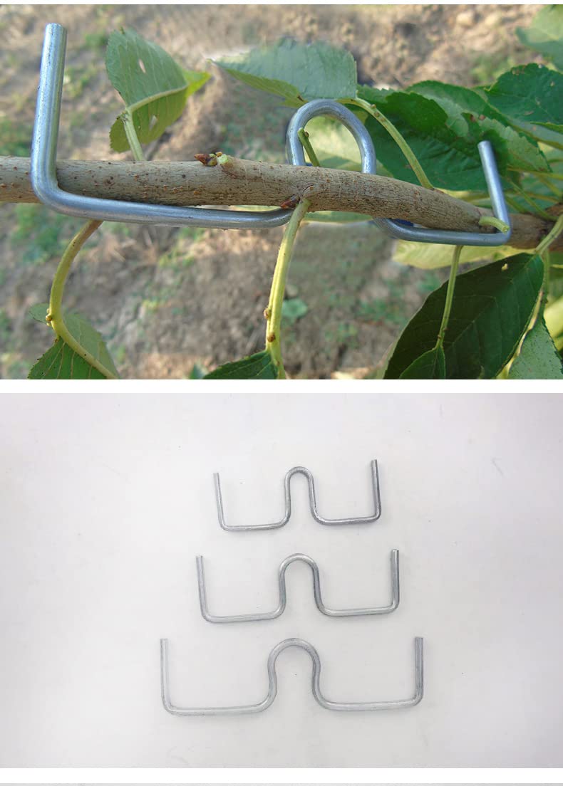 24pcs 5.1 Inch Fruit Tree Branch Puller - Garden Bonsai Limb Spreader & Bending Tool for Plants, Trees, and Shrubs - Perfect for Gardening, Landscaping, and Bonsai Training (M-5.1IN)