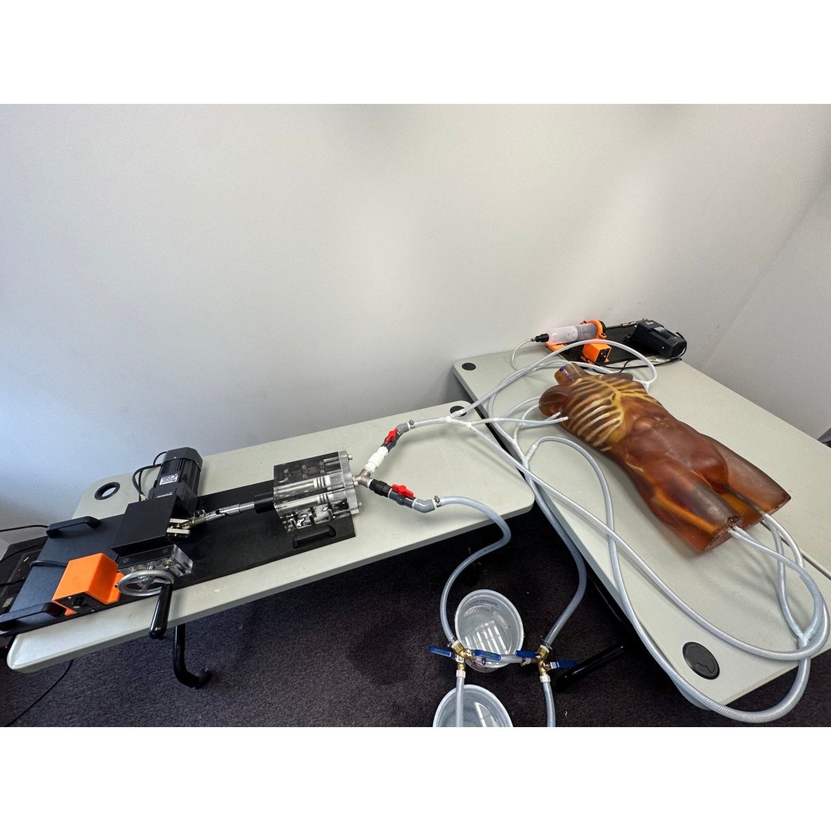 Dynamic Adult Torso Model with Heart Pump - Anatomical Teaching Tool for X-Ray, CT & Ultrasound Training - Perfect for Medical Education & Radiology Practice