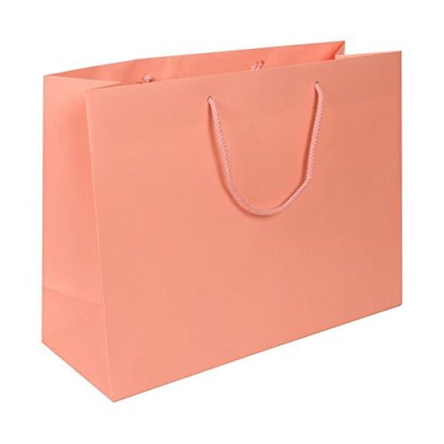 JAM Paper Large Horizontal Gift Bags with Rope Handles - 16