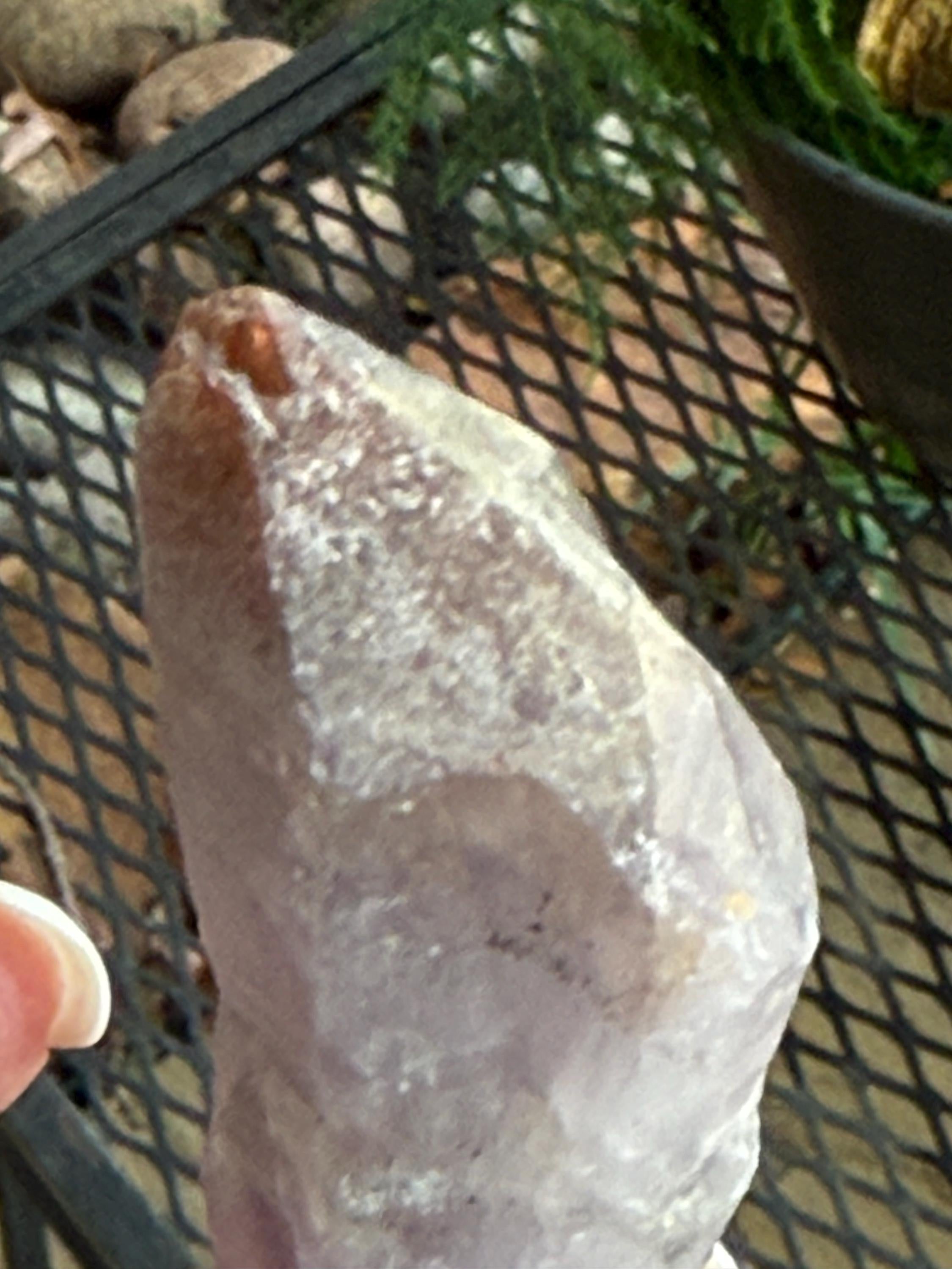 Authentic Auralite 23 Crystal Palm Stone - 2.5