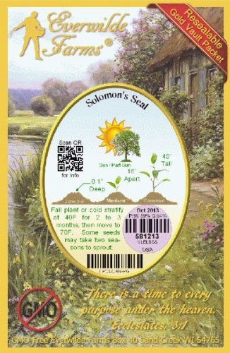 Everwilde Farms - 20 Solomon's Seal Native Wildflower Seeds - Gold Vault Seed Packet for Shade Gardens & Woodland Landscaping