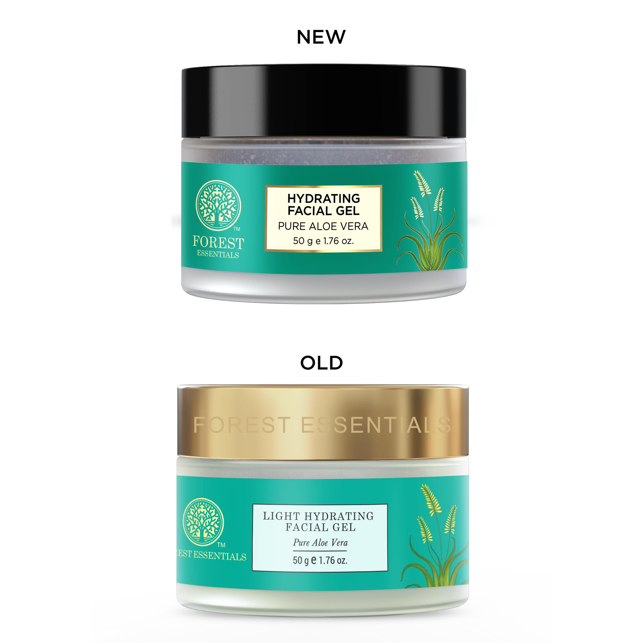 Forest Essentials Light Hydrating Facial Gel with Pure Rosewater | Soothing & Renewing Moisturizer for Dry Skin | Unisex Face Gel | 50g | Perfect for Daily Skincare Routine & Post-Sun Care