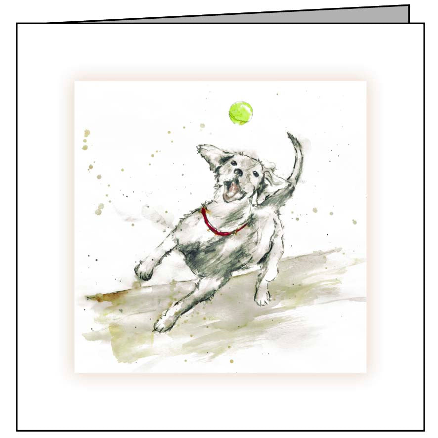 Animal Hospital Sympathy Card - Comforting Dog with Ball Design - Perfect for Pet Loss, Condolences & Healing | Thoughtful Gift for Grieving Pet Owners