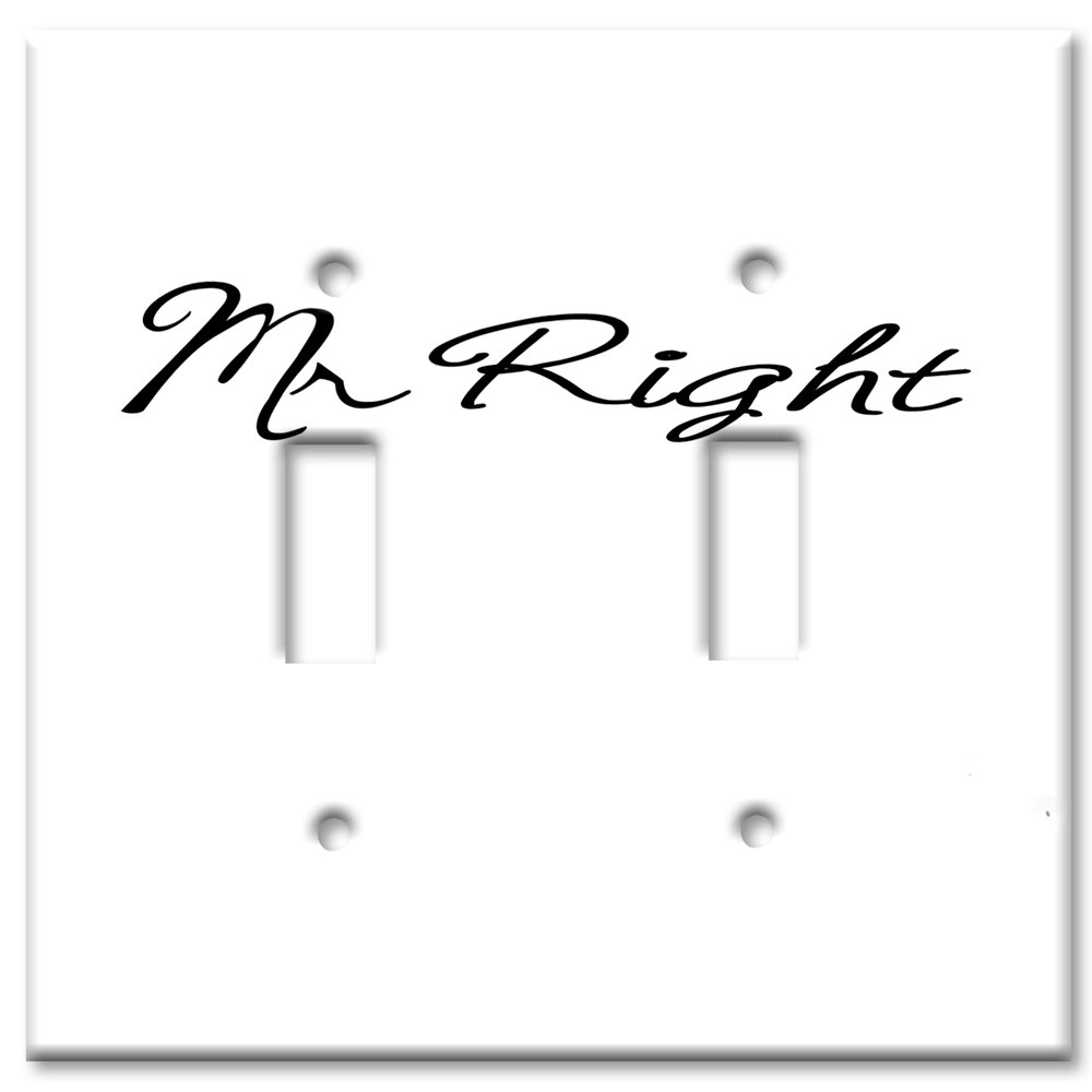 Oversized Double Gang Toggle Art Switch Plate - Decorative Metal Wall Plate for Home Decor - Made in USA | Perfect for Living Rooms, Bedrooms & Offices