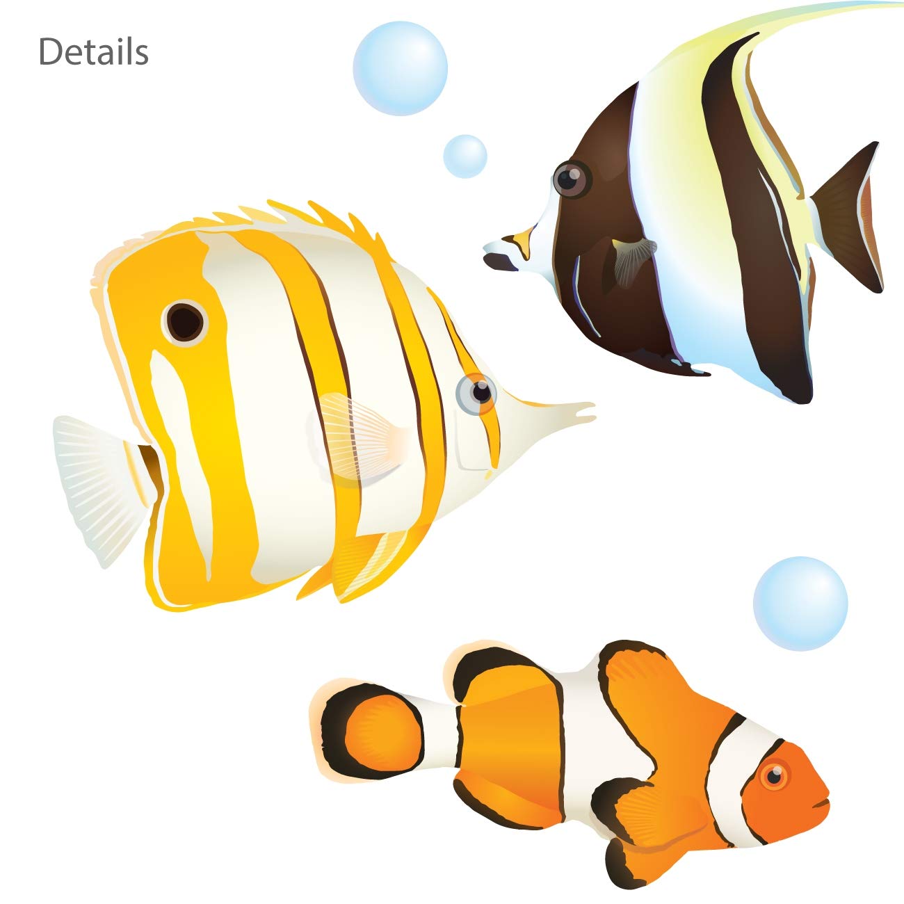 **DECOWALL DS-8035 Coral Reef Fish Kids Wall Stickers - Peel and Stick Removable Wall Decals for Nursery, Bedroom & Living Room Décor (Small) - Perfect for Kids' Rooms, Playrooms & Underwater Themed Decor**
