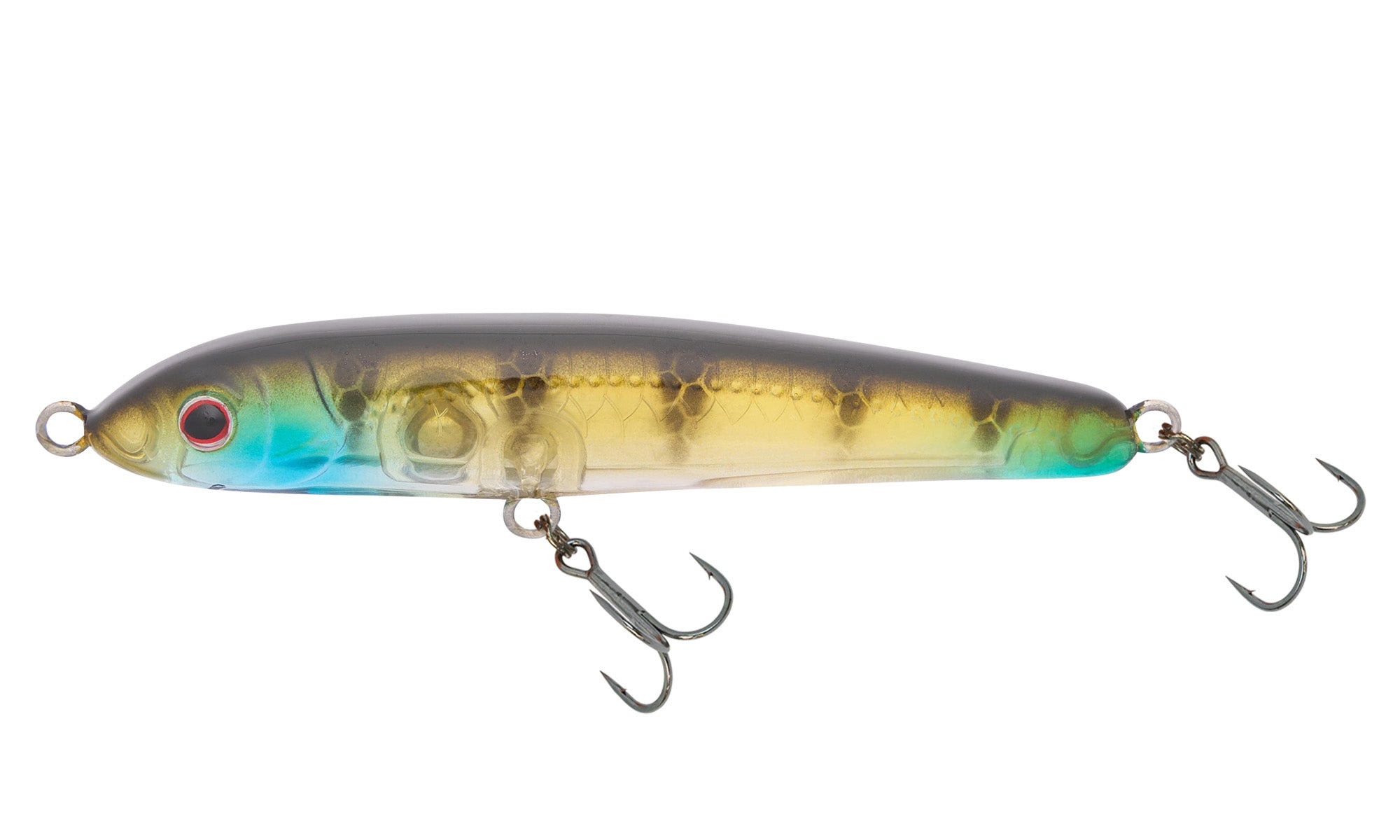 Ayu Shrimp