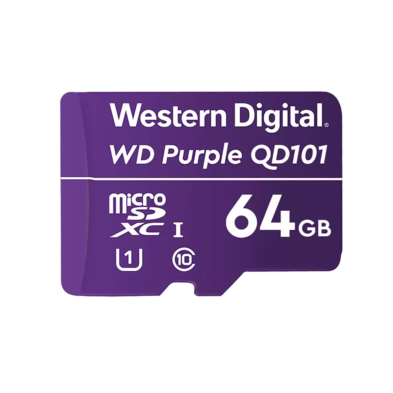 High-Capacity 64GB & 256GB MicroSD Cards for Security Cameras - Extreme Endurance, 24/7 Surveillance, Weatherproof - Perfect for Home Security Systems, Dash Cams, and Outdoor Monitoring