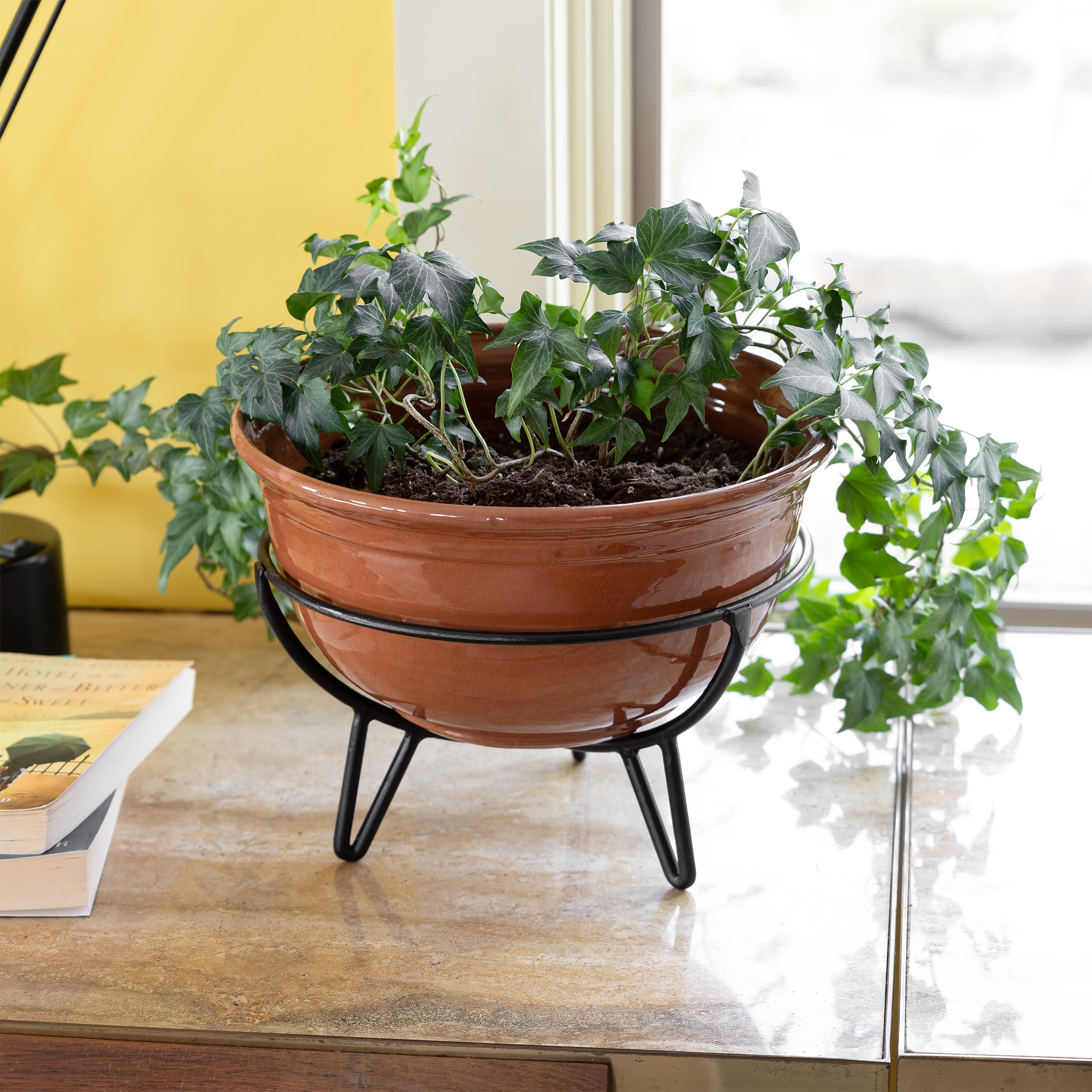 Achla Designs Frida Plant Stand - Modern Indoor & Outdoor Flower Pot Holder for Home Decor, Garden, Patio, and Balcony